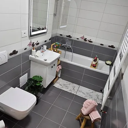 Mountain Vibes Apartment Brasov