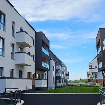 Mountain Vibes Braşov