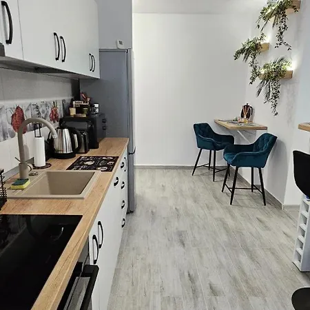 Mountain Vibes Braşov