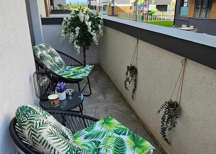 Mountain Vibes Braşov