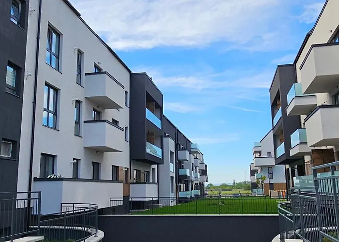 Mountain Vibes Braşov